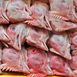 Головы куриные 90 руб/кг