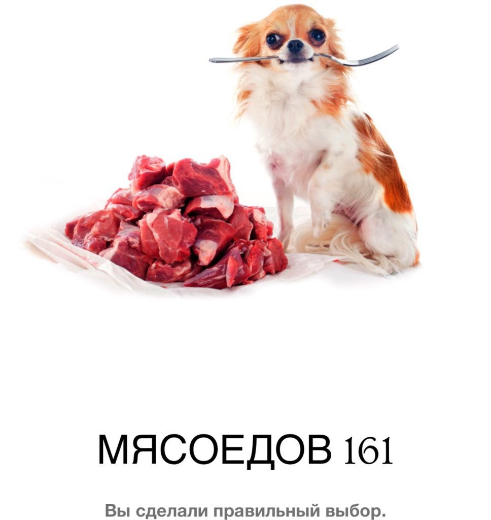 МЯСОЕДОВ161