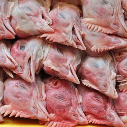 Головы куриные 90 руб/кг